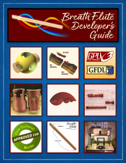 Developer's Guide